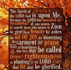 Meet your Posher, Ann